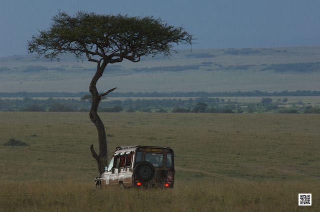 1-photographic-safaris-south-africa-masai-mara-kenya-botswana-tanzania-namibia-distance-planning