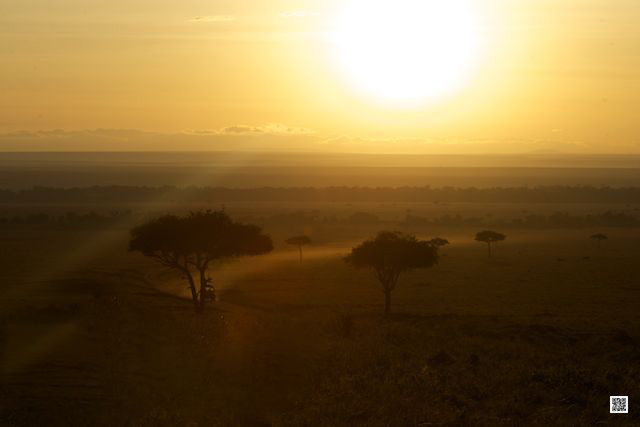 6-best-priced-african-safaris-light-matters