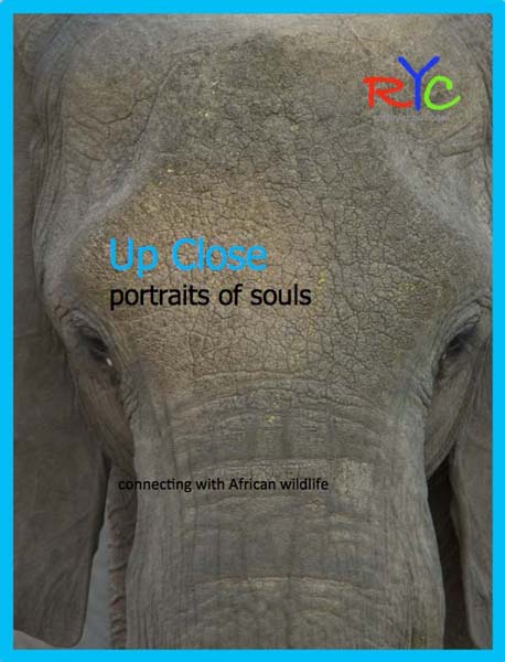 7-photographic-safaris-south-africa-masai-mara-kenya-botswana-tanzania-namibia-ephoto-book-up-close