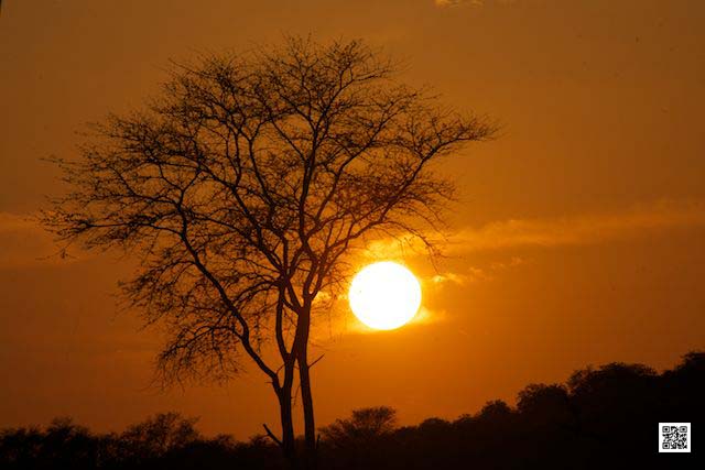 photographic safaris south Africa Kenya Botswana Tanzania Namibia sunrise