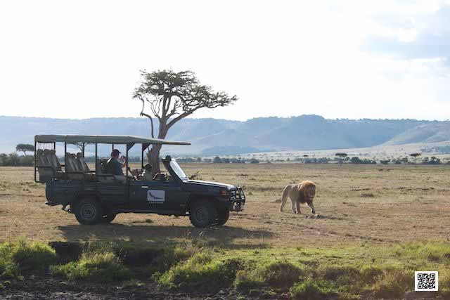 photographic safaris south Africa Kenya Botswana Tanzania Namibia tripod