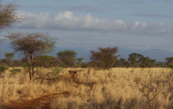 wildlife photography courses Kenya Tanzania south Africa Botswana beauty at ease ebook
