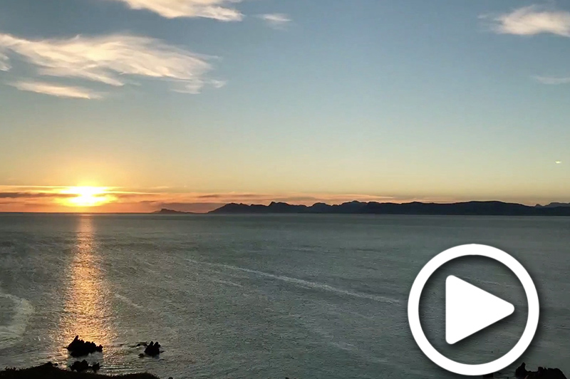 cape point and whale coast in south africa