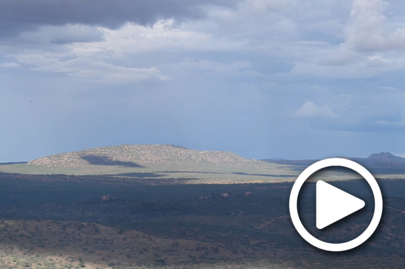 safari tours laikipia kenya