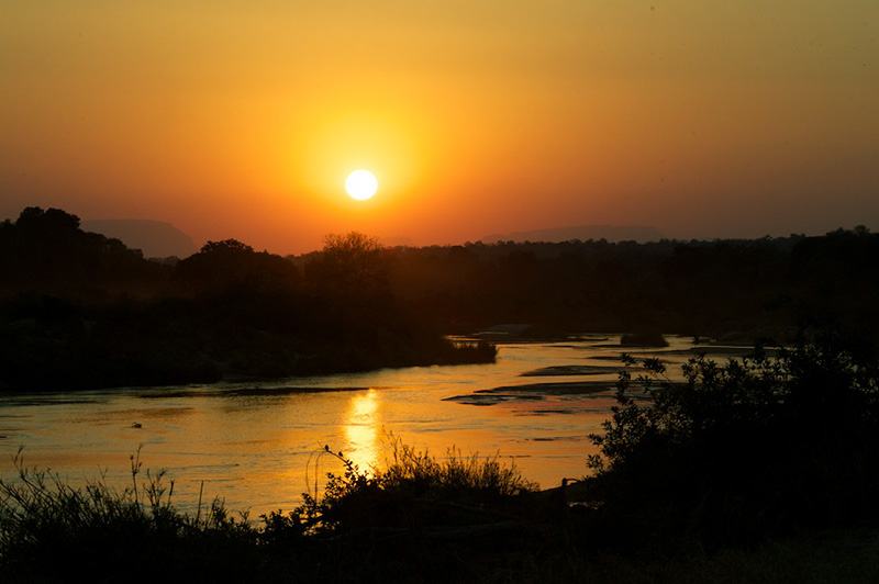 safari tours in kruger national park south africa
