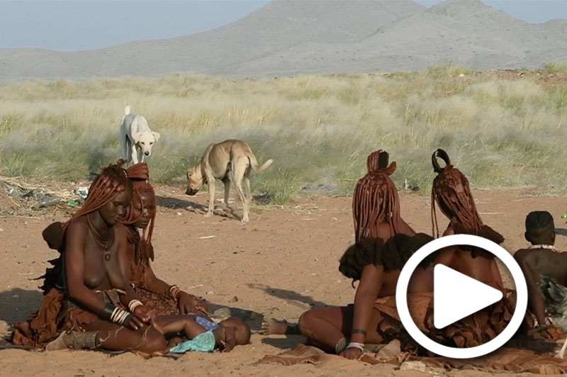 himba in kunene in namibia