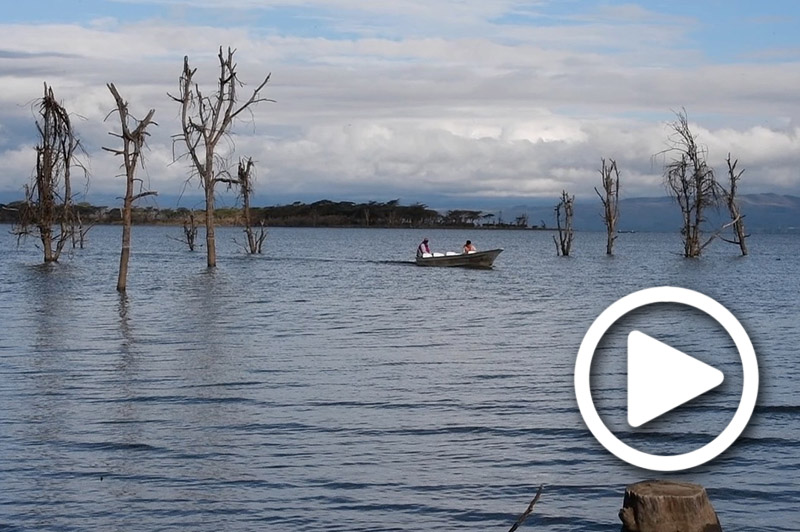 lake naivasha safari tours