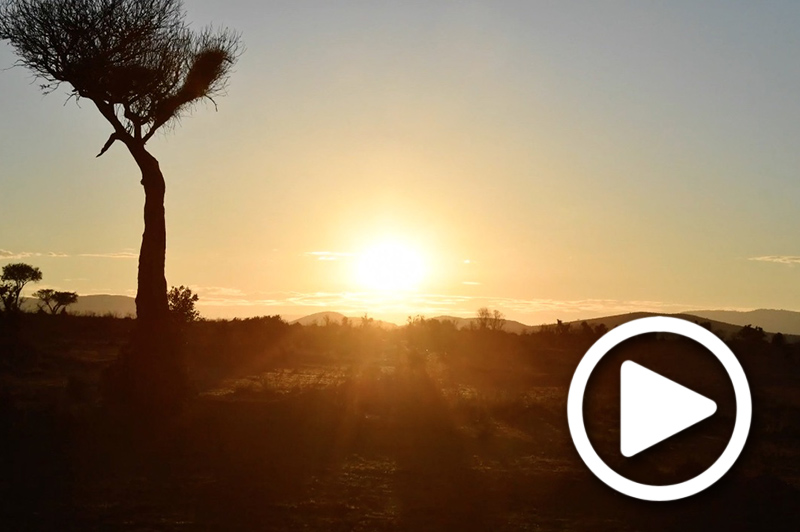 masai mara safari holidays