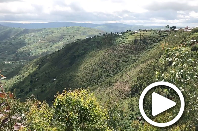 safari destination rwanda