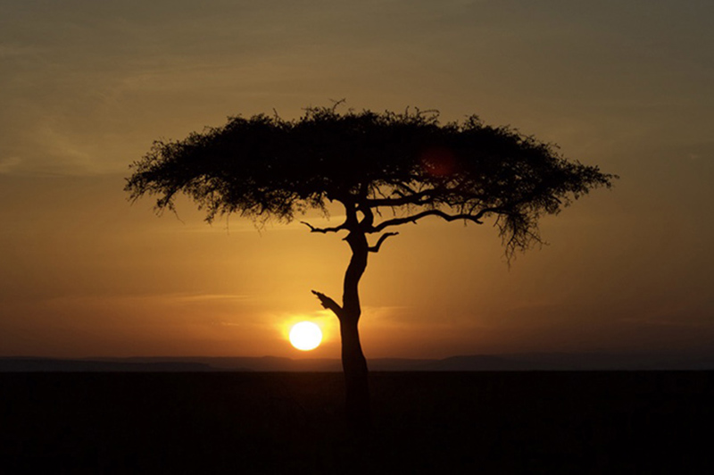 safari destination kenya