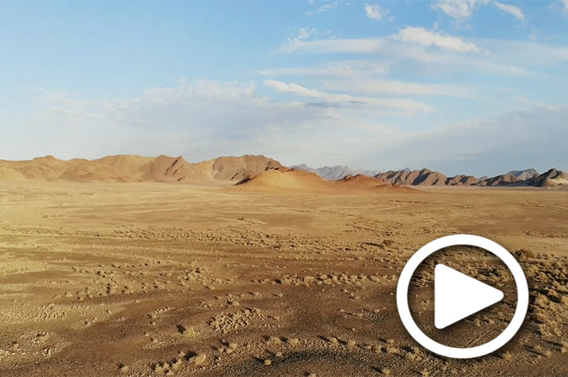 safari destination namibia