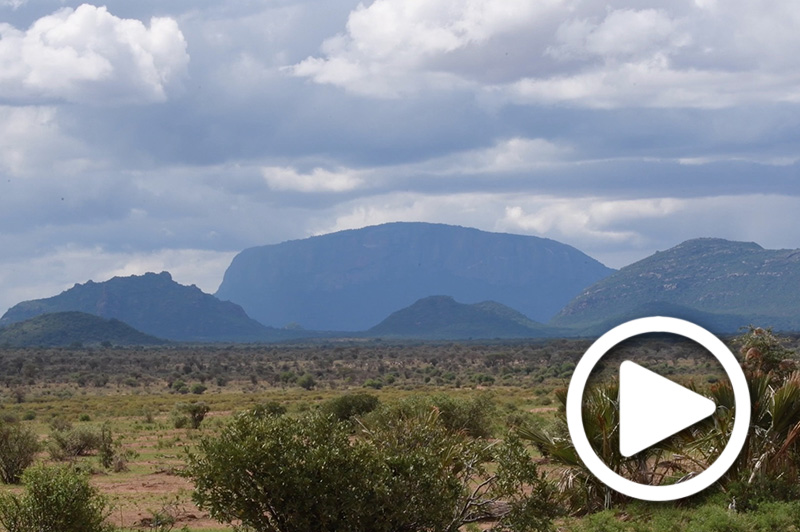 samburu safari tours kenya