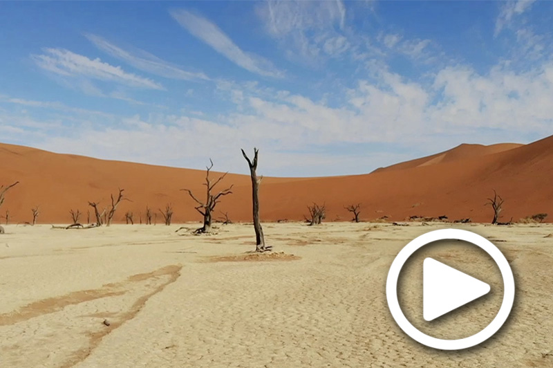 safari tours in sossusvlei in namibia