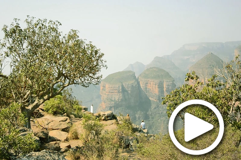 south africa safari holidays