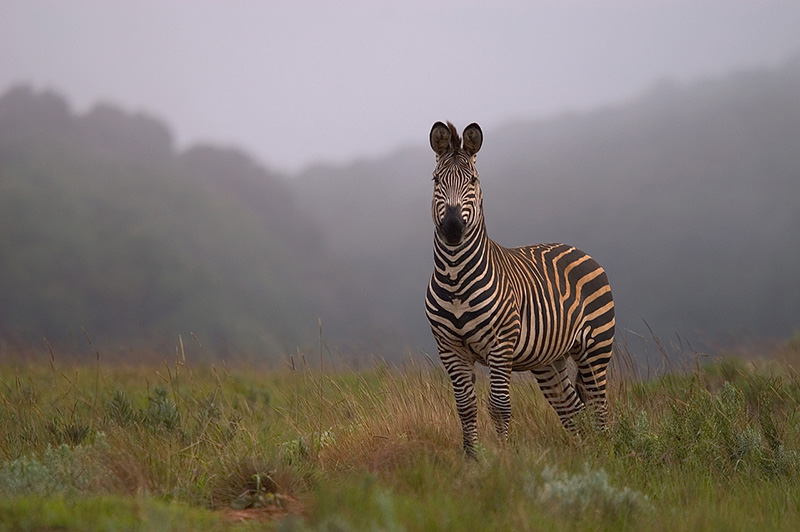 malawi-africas-hidden-gem