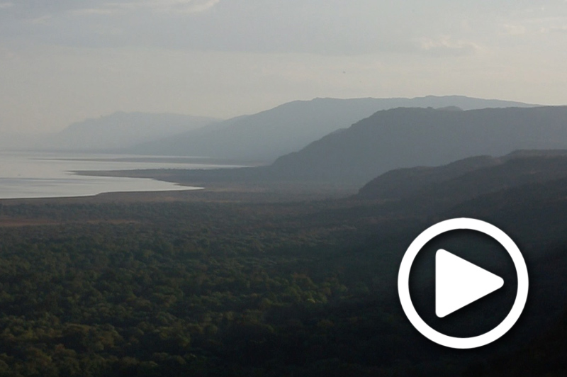 safaris tanzania lake manyara
