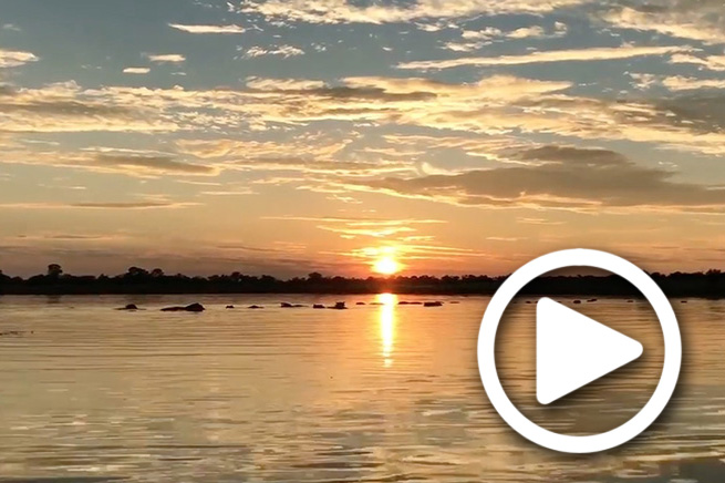 linyanti botswana safari tours