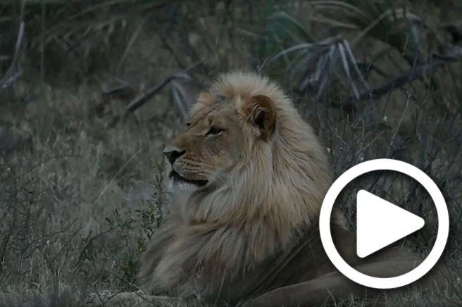 makgadikgadi safari tours botswana