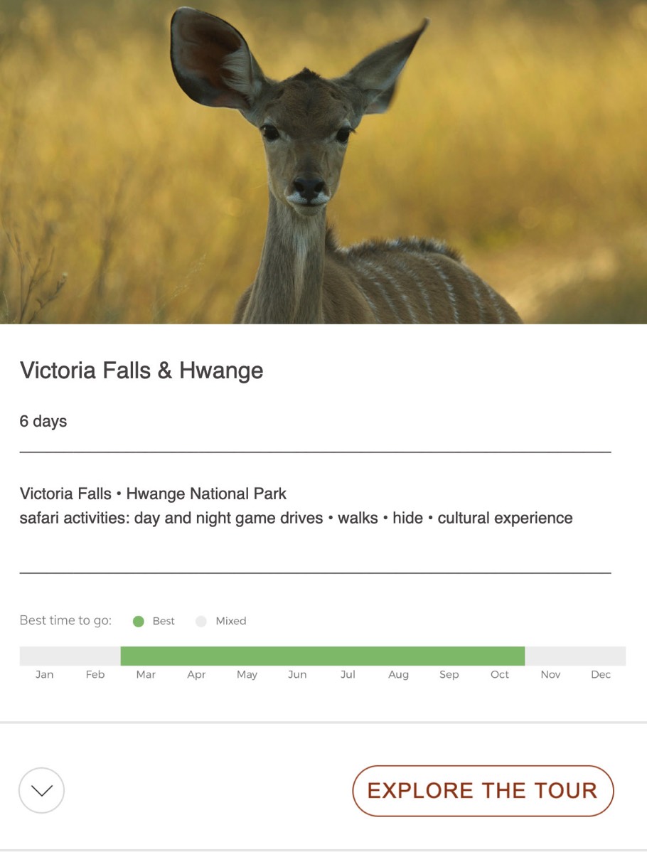 hwange and victoria falls safari zimbabwe