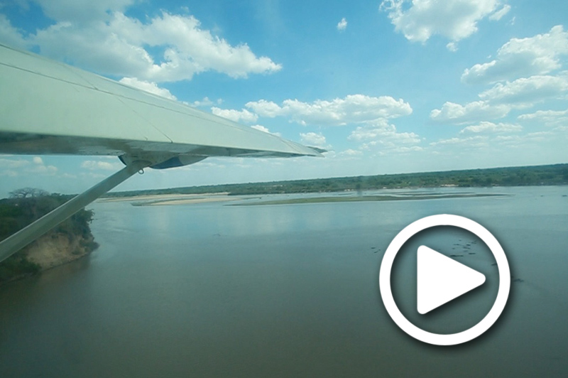 selous safari tours tanzania