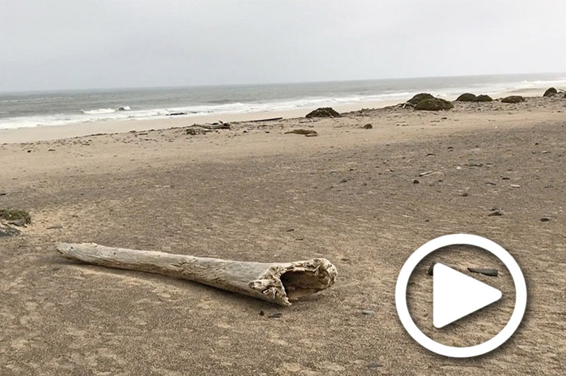 skeleton coast namibia
