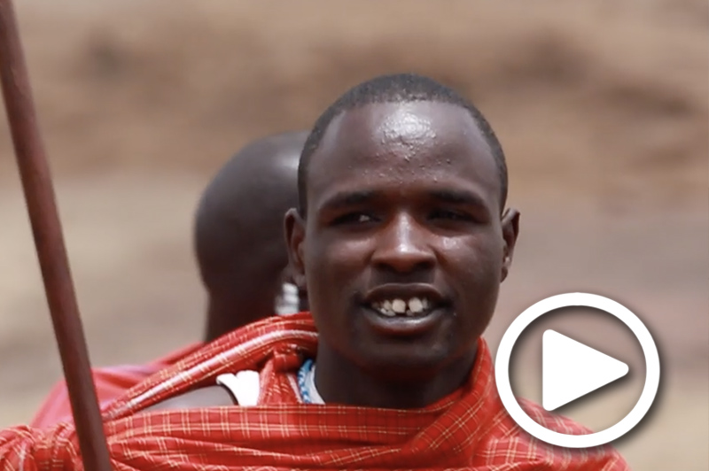 safari tours tanzania