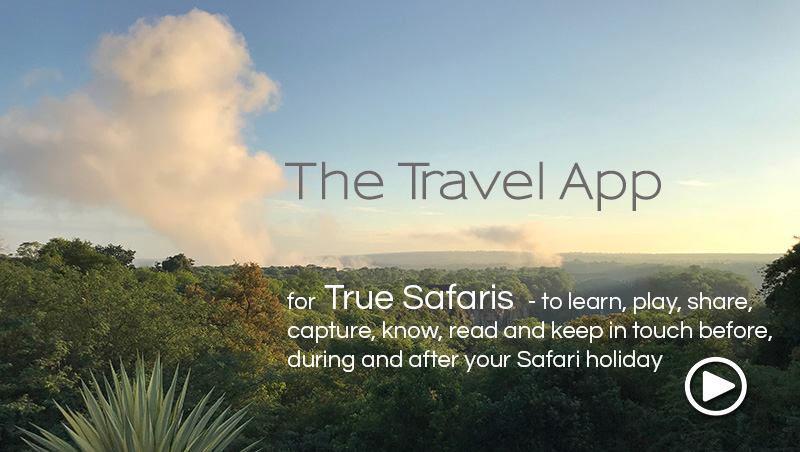 african safari travel app