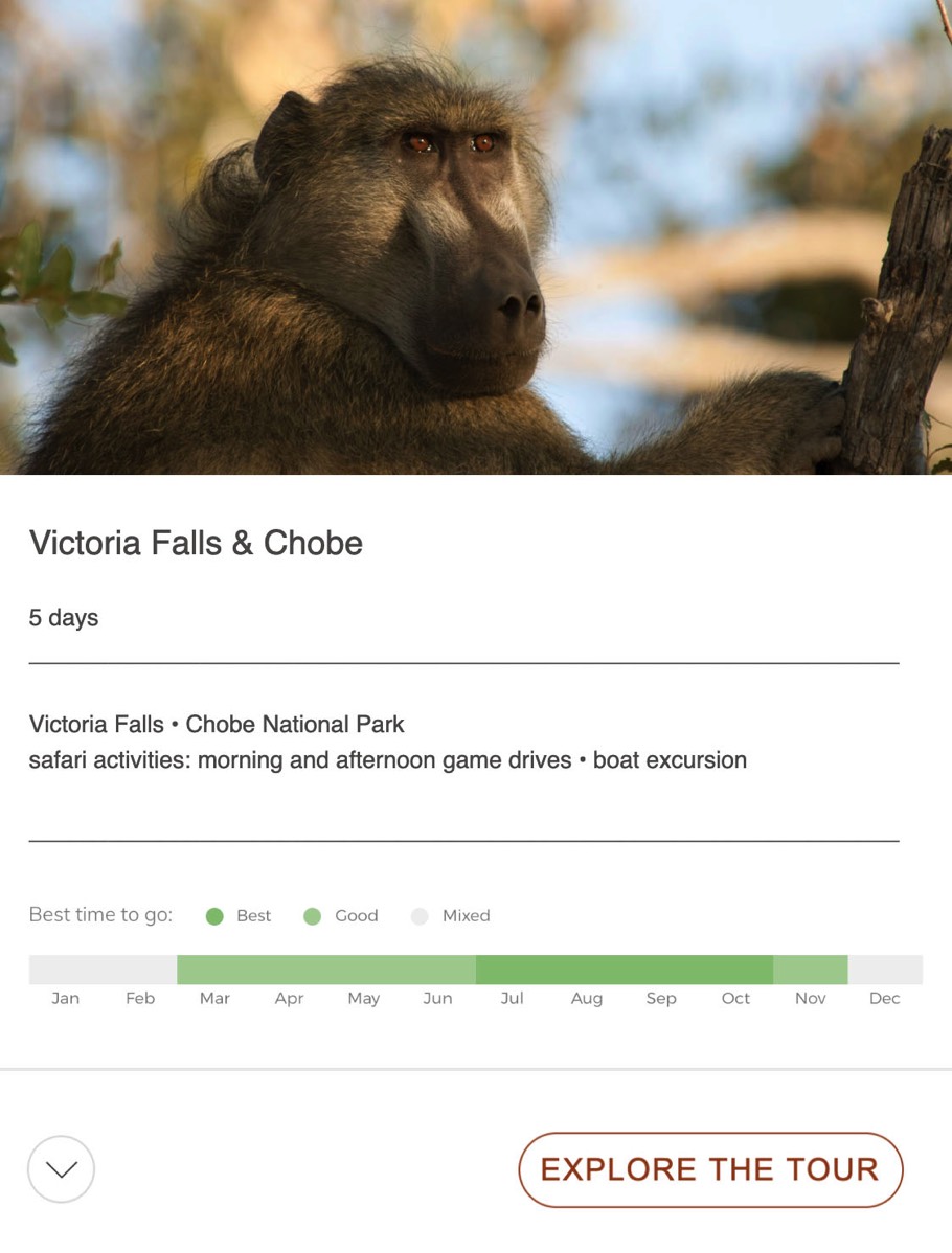 victoria falls and chobe safari