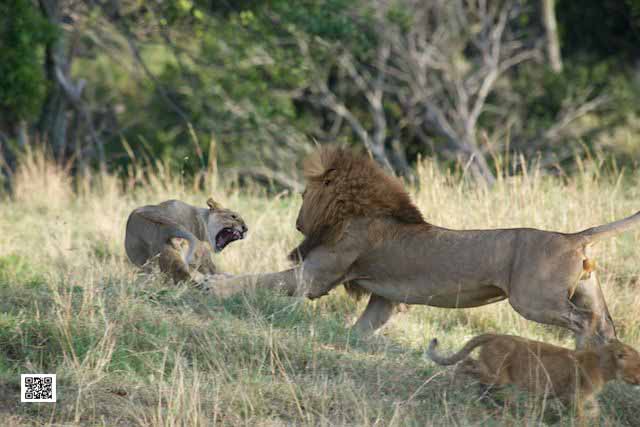 1-photographic-safaris-south-africa-masai-mara-kenya-botswana-tanzania-namibia-learn-from-peter-beard