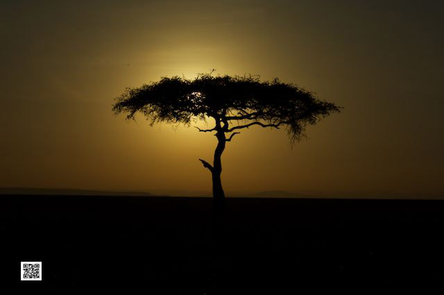 2-photographic-safari-south-africa-game-drive-quality