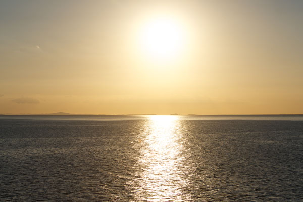 2-photographic-safaris-south-africa-masai-mara-kenya-botswana-tanzania-namibia-whale-season