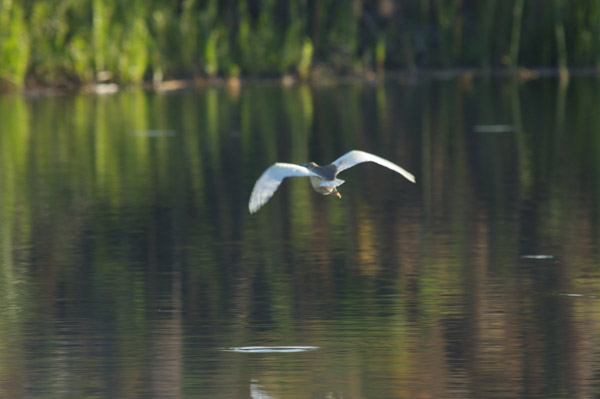 2-team-building-photo-safari-south-africa-kenya-tanzania-inspire