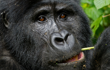 3-african-safari-travel-ideas-for-photographers