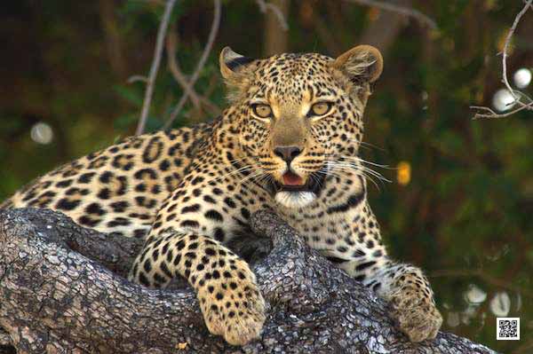 3-can-my-african-safari-accommodation-be-outside-the-park