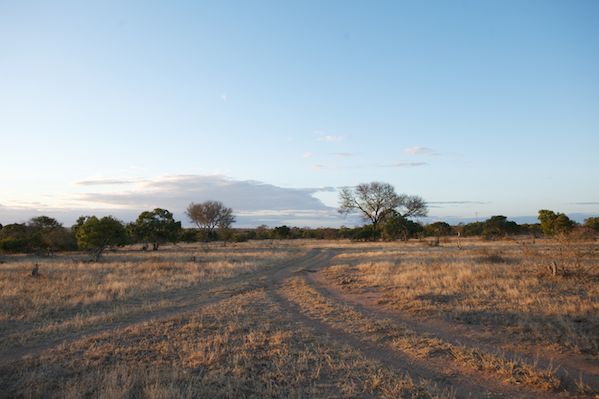 3-photographic-safaris-south-africa-masai-mara-kenya-botswana-tanzania-namibia-perspective-gerbehaye