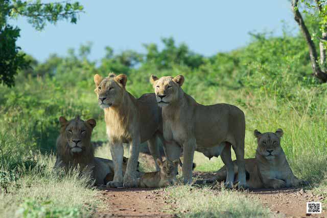 3-what-are-the-top-10-african-safari-mistakes