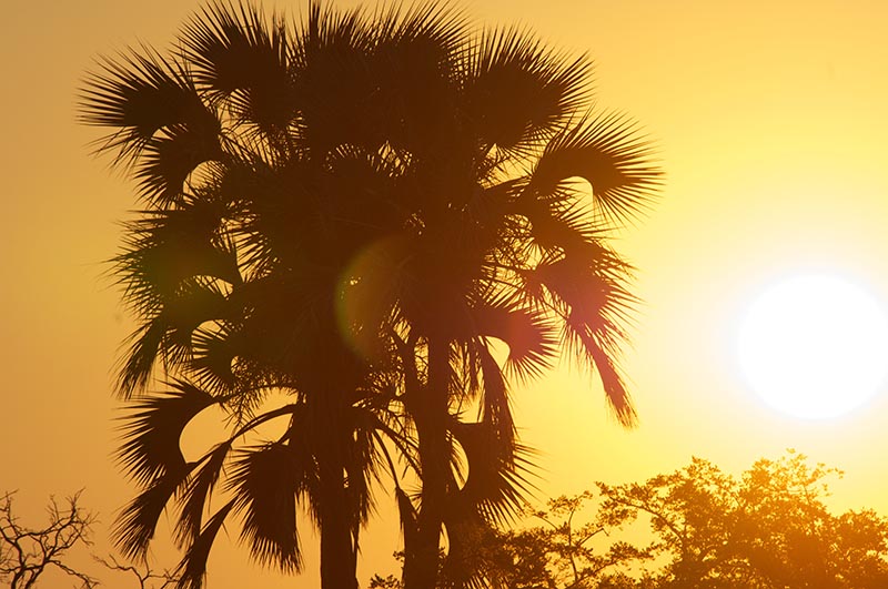 5-reasons-to-visit-botswana