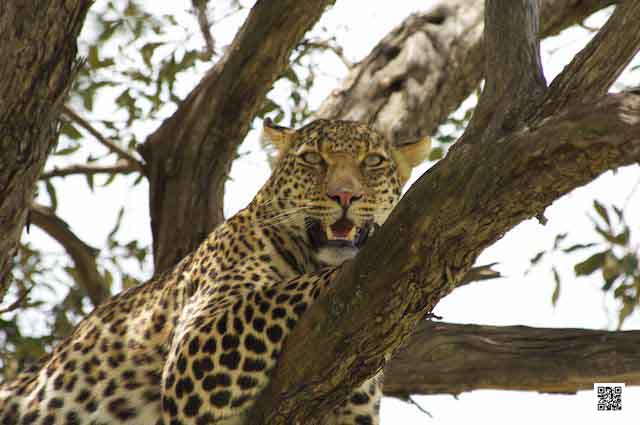 6-how-to-pack-for-my-african-safari