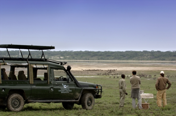 6-wildlife-photo-safari-serengeti-tanzania