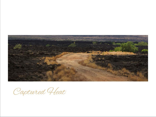 7-photographic-safaris-south-africa-masai-mara-kenya-botswana-tanzania-namibia-captured-heat