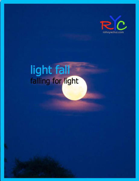 7-photographic-safaris-south-africa-masai-mara-kenya-botswana-tanzania-namibia-light-fall