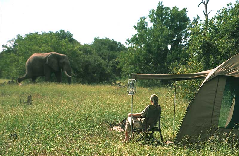 7-things-you-don&#39;t-need-on-african-safari
