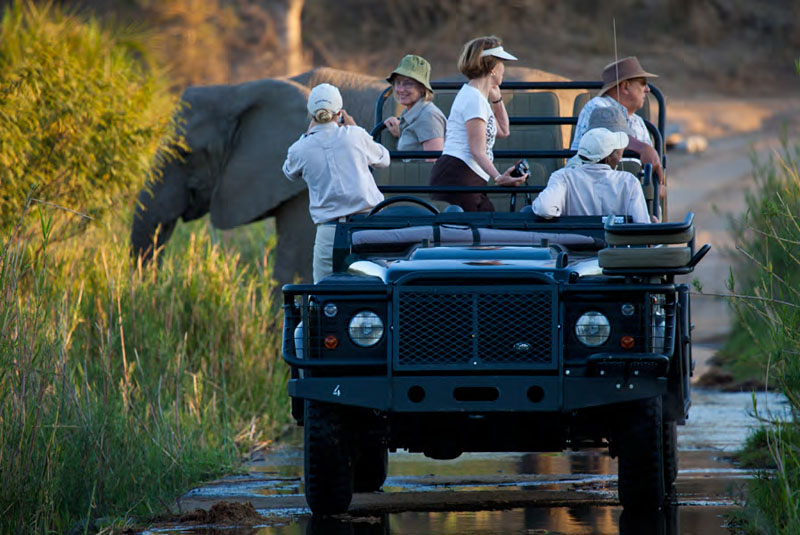 african-photographic-safari-londolozi
