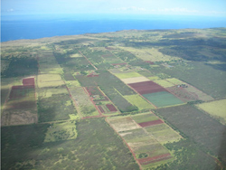 changes innovative leadership with photography