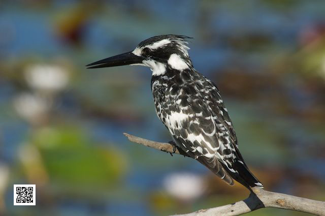 digital photography courses nikon d800