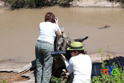 digital wildlife photography courses internet