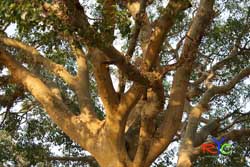 digital wildlife photography courses south africa what photo tells