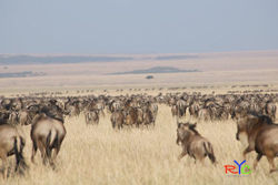 edventure retreats new africa travel