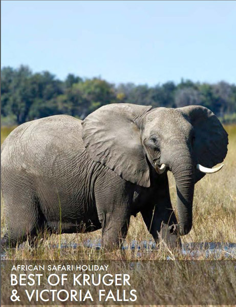 featured-african-safari-kruger-and-victoria-falls