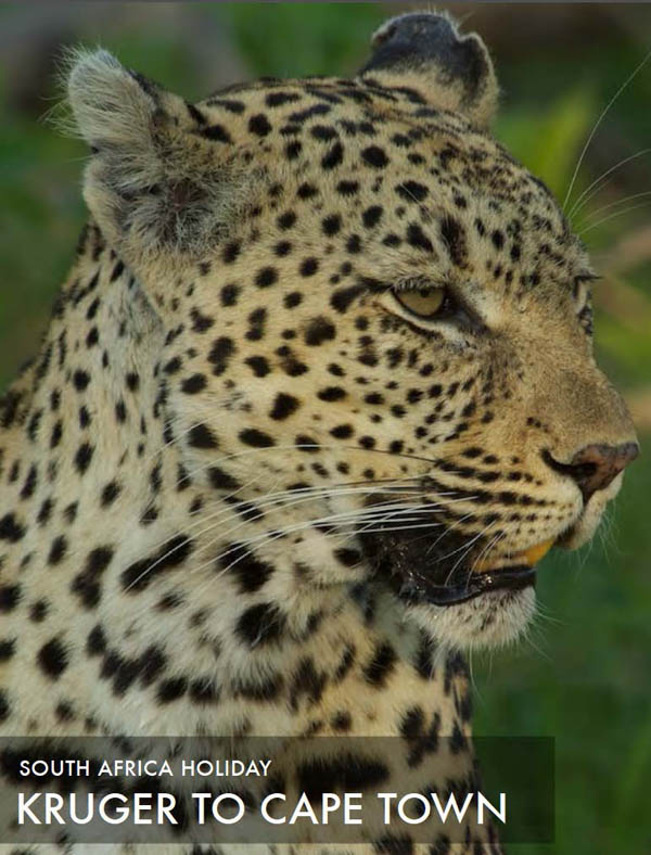 featured-african-safari-tour-2014-kruger-to-cape-town